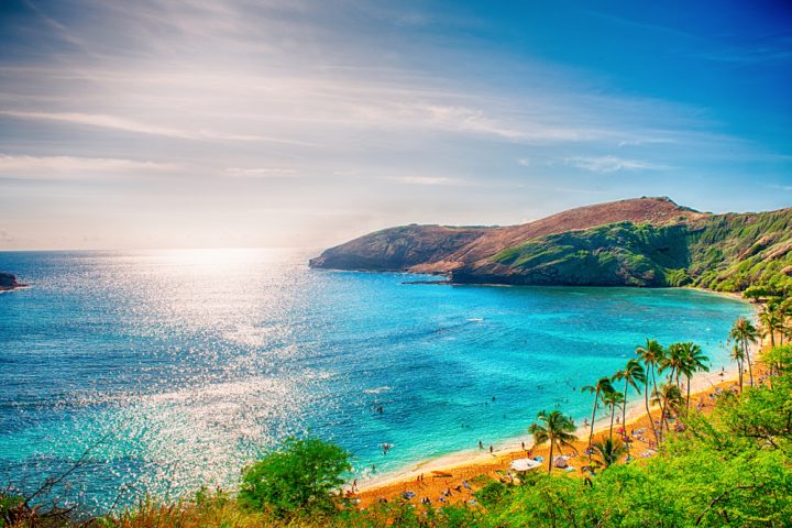 Oahu – Kauai – Maui – Big Island
